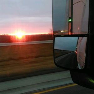 Meet your Posher, Roy